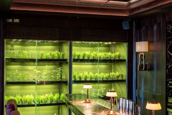 >Marcello Ristorante The Stay Hotels